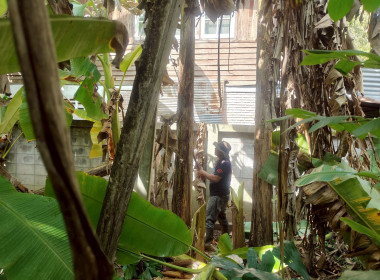 ร่วมแรงร่วมใจทำความสะอาด ... พารามิเตอร์รูปภาพ 10